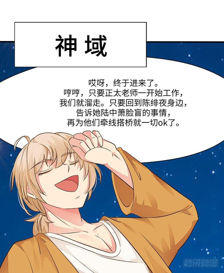35·保护小狗！