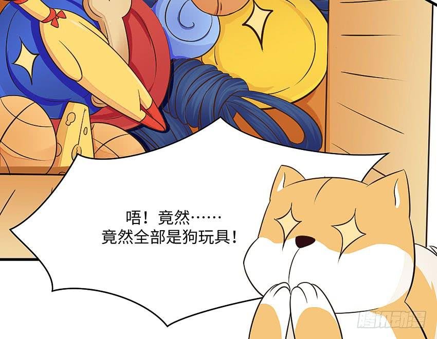 35·保护小狗！