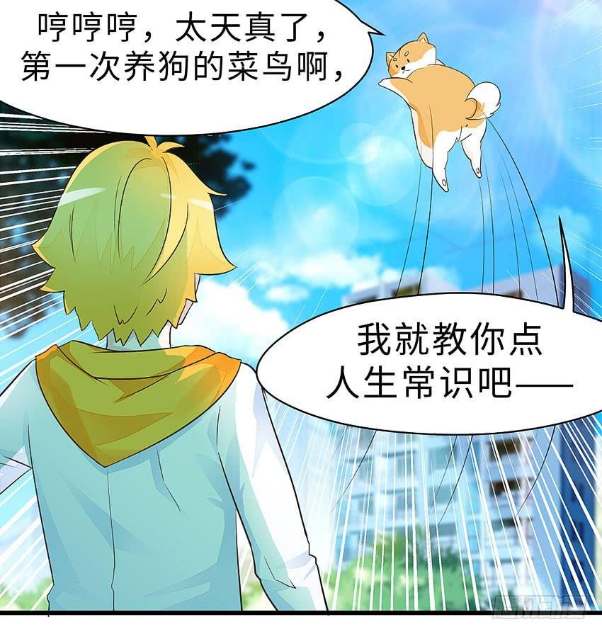 38·遛狗记得牵狗绳