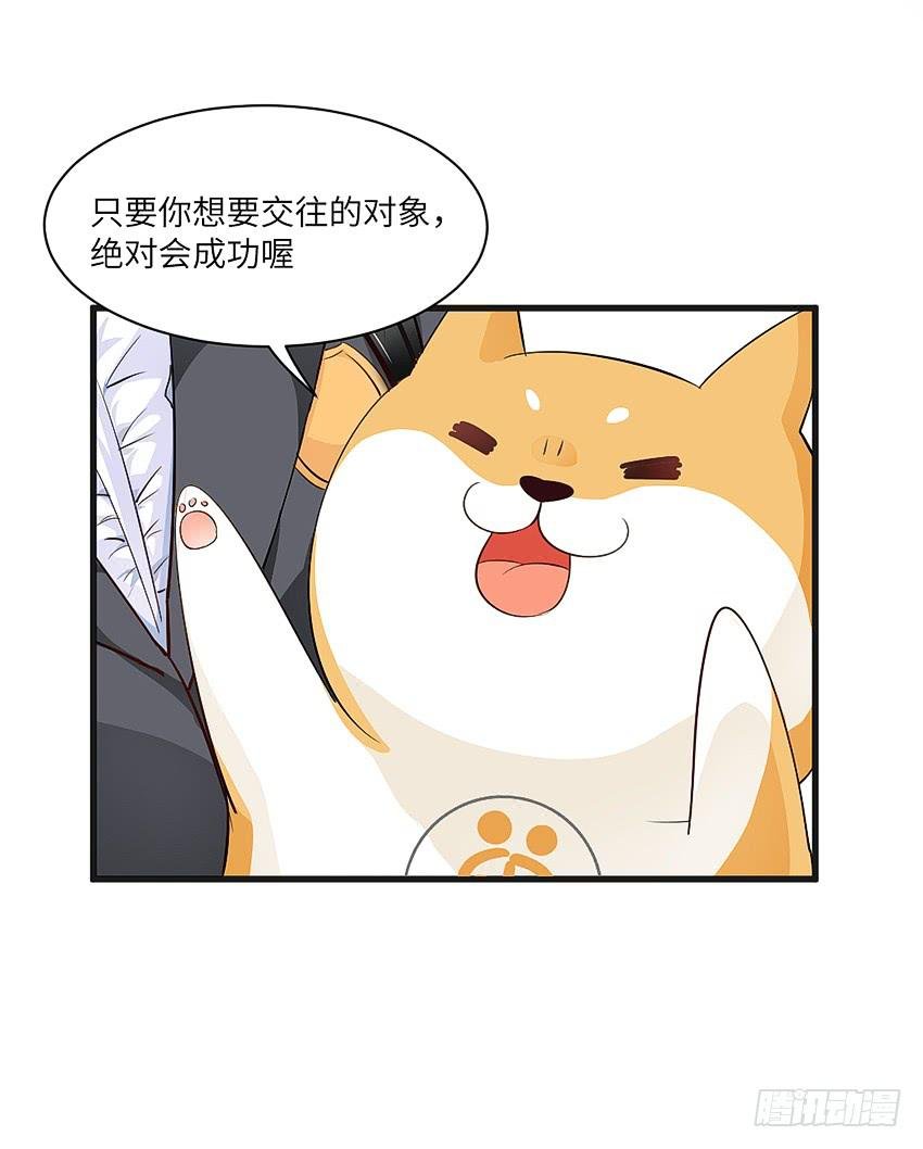 凭实力单身