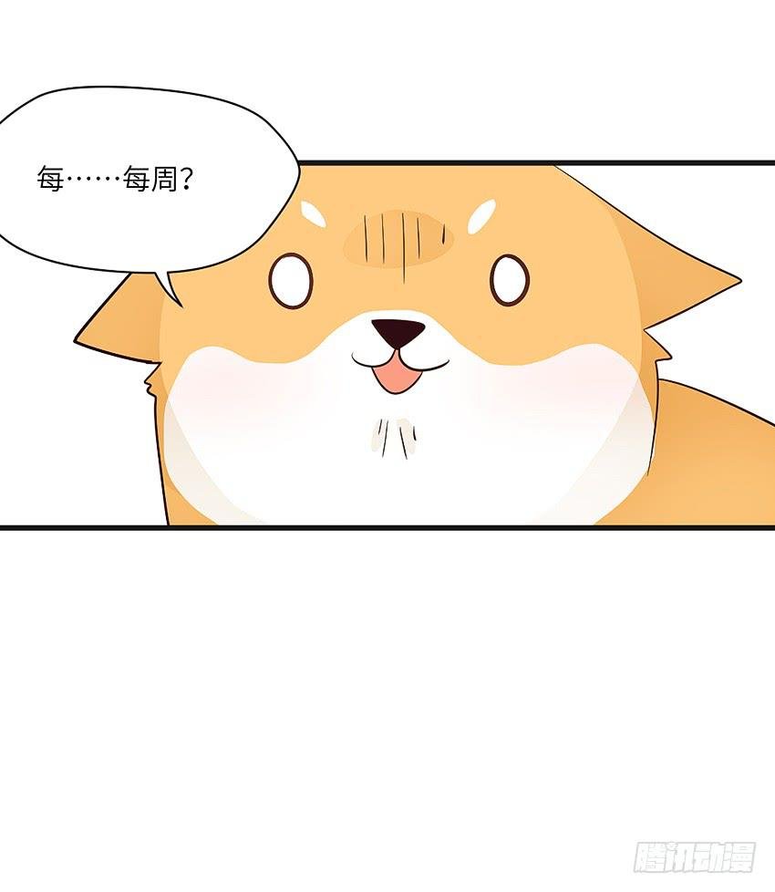 凭实力单身