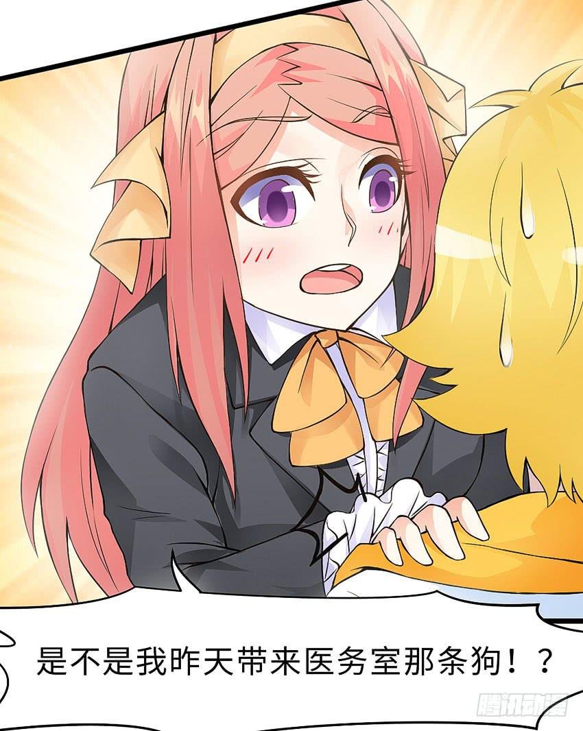 41·狗呢？！