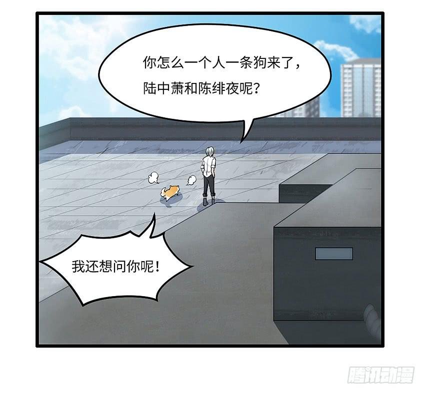 42·他不在天台的第一天
