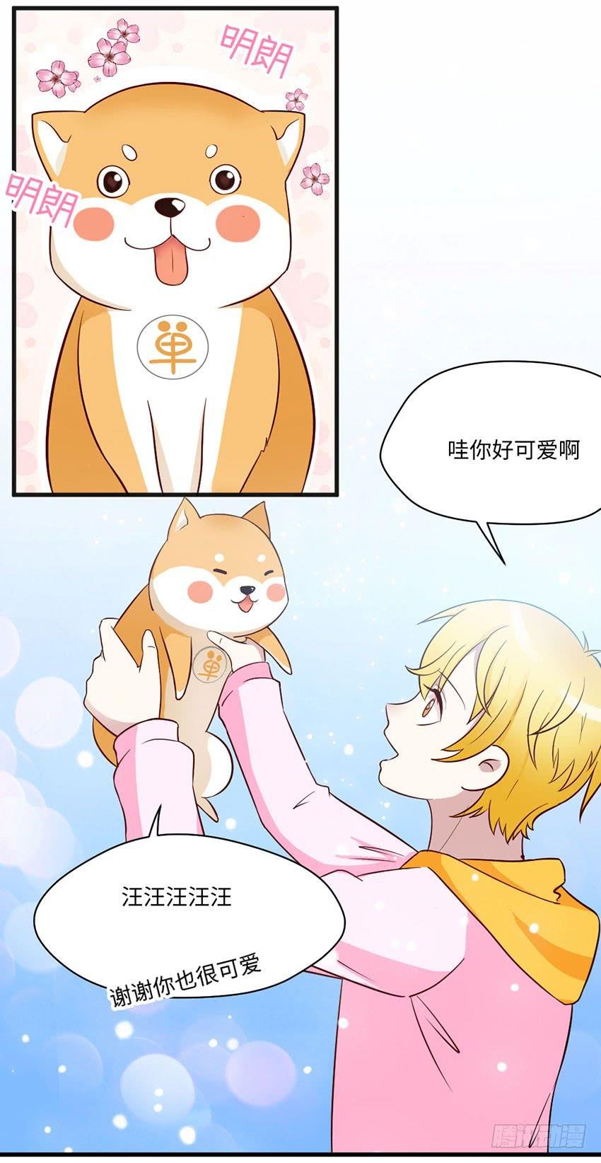 花坛边的小正太
