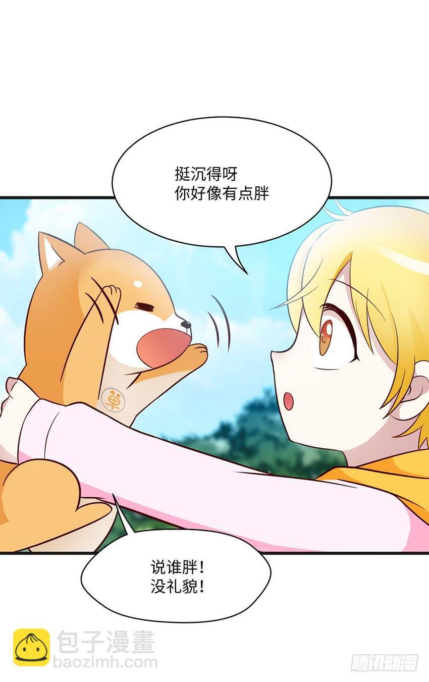 花坛边的小正太