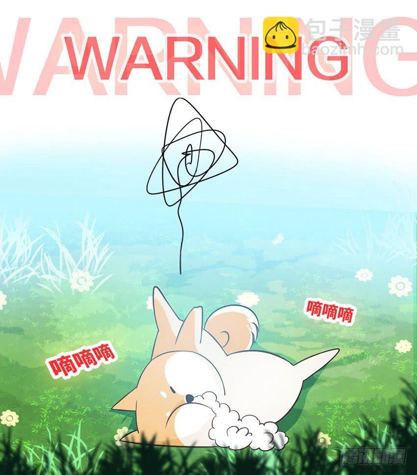 花坛边的小正太