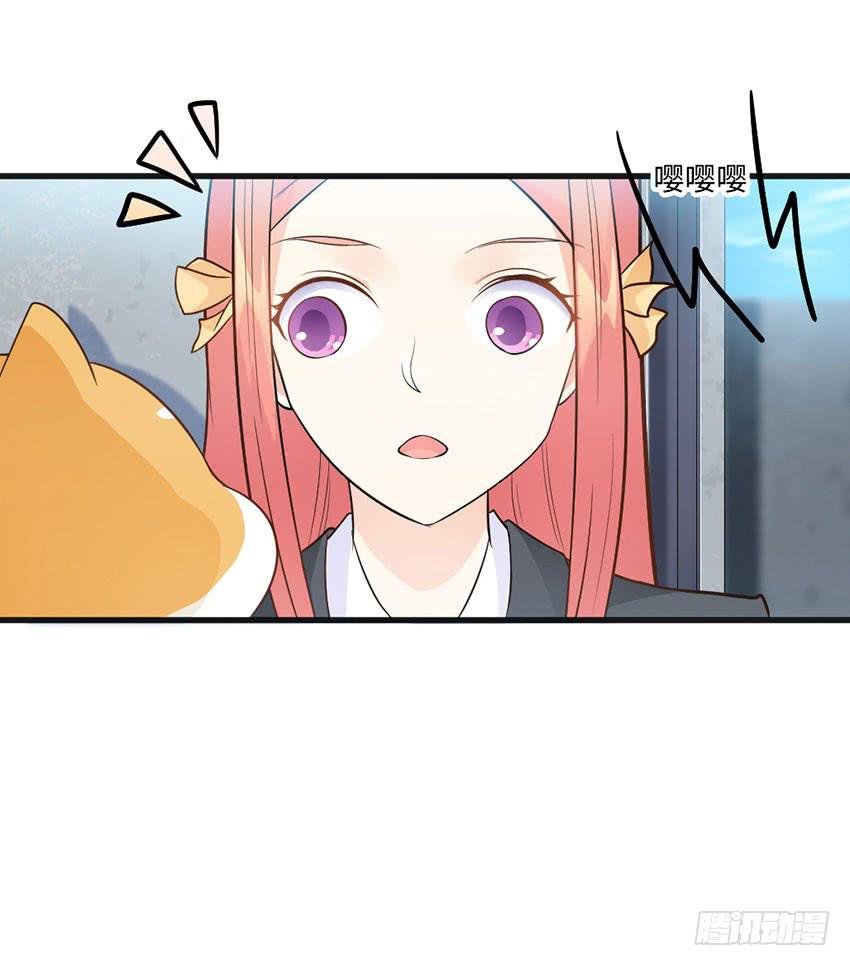 哭泣的叛逆偶像