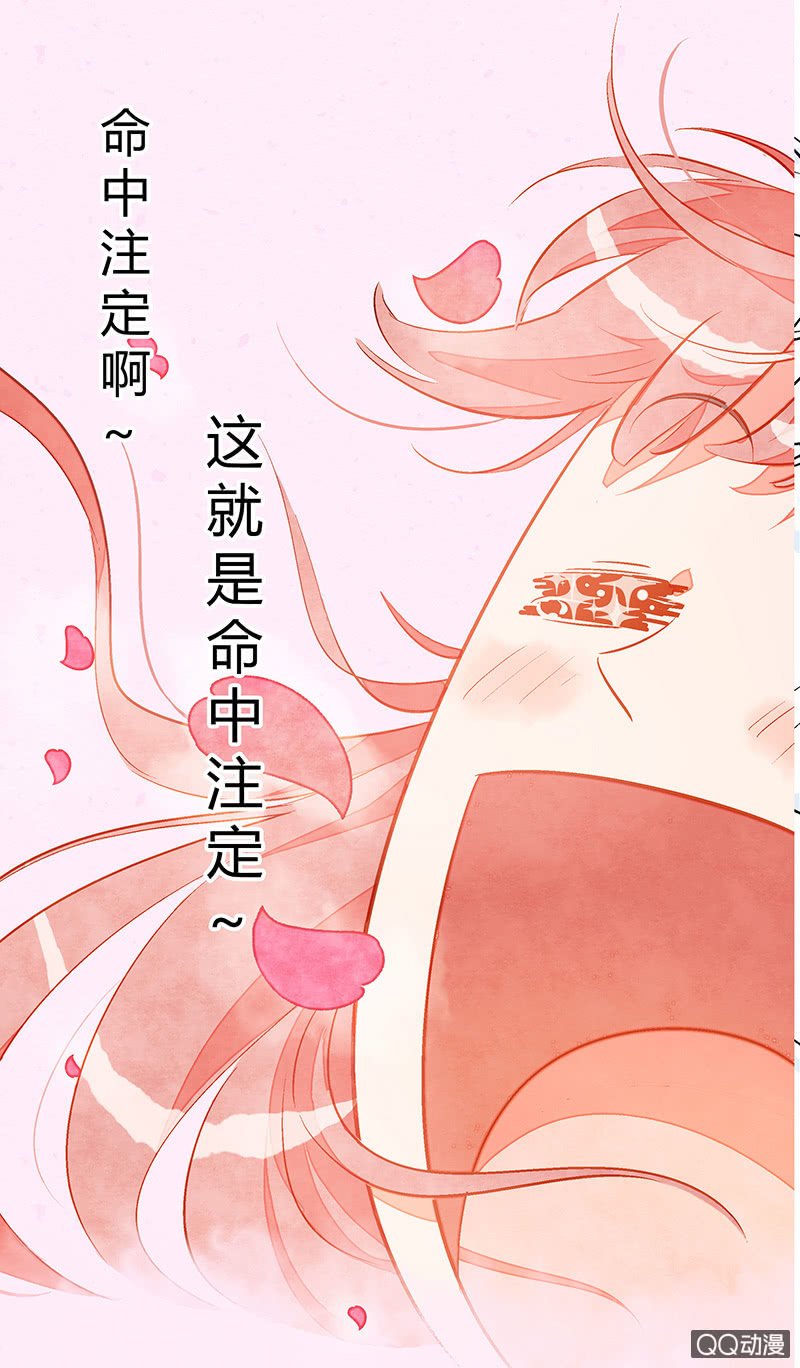 第十四期
