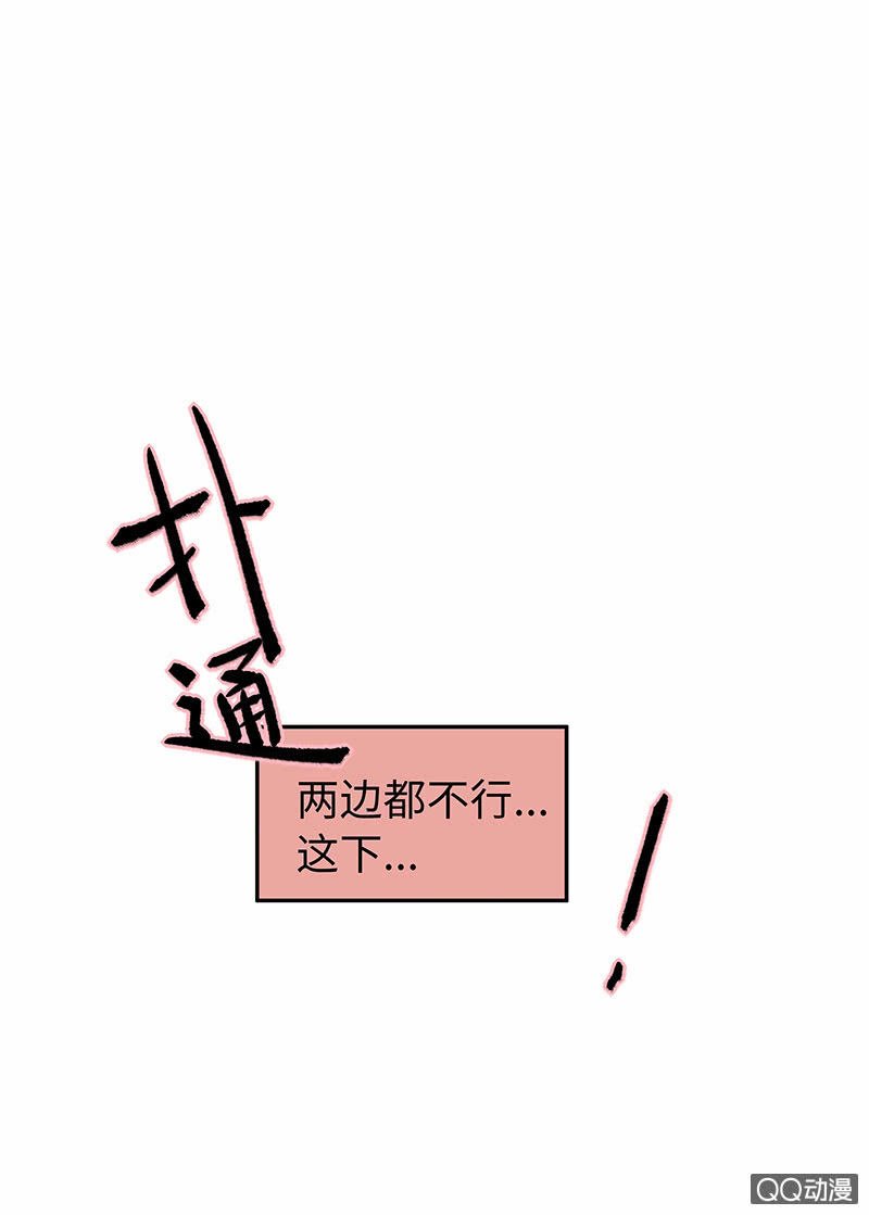第三十七期