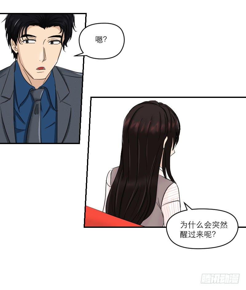 归来（4）