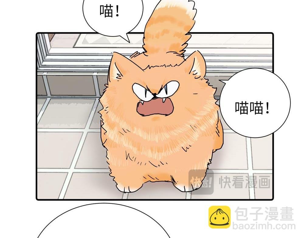 第三十六话 上司的职责