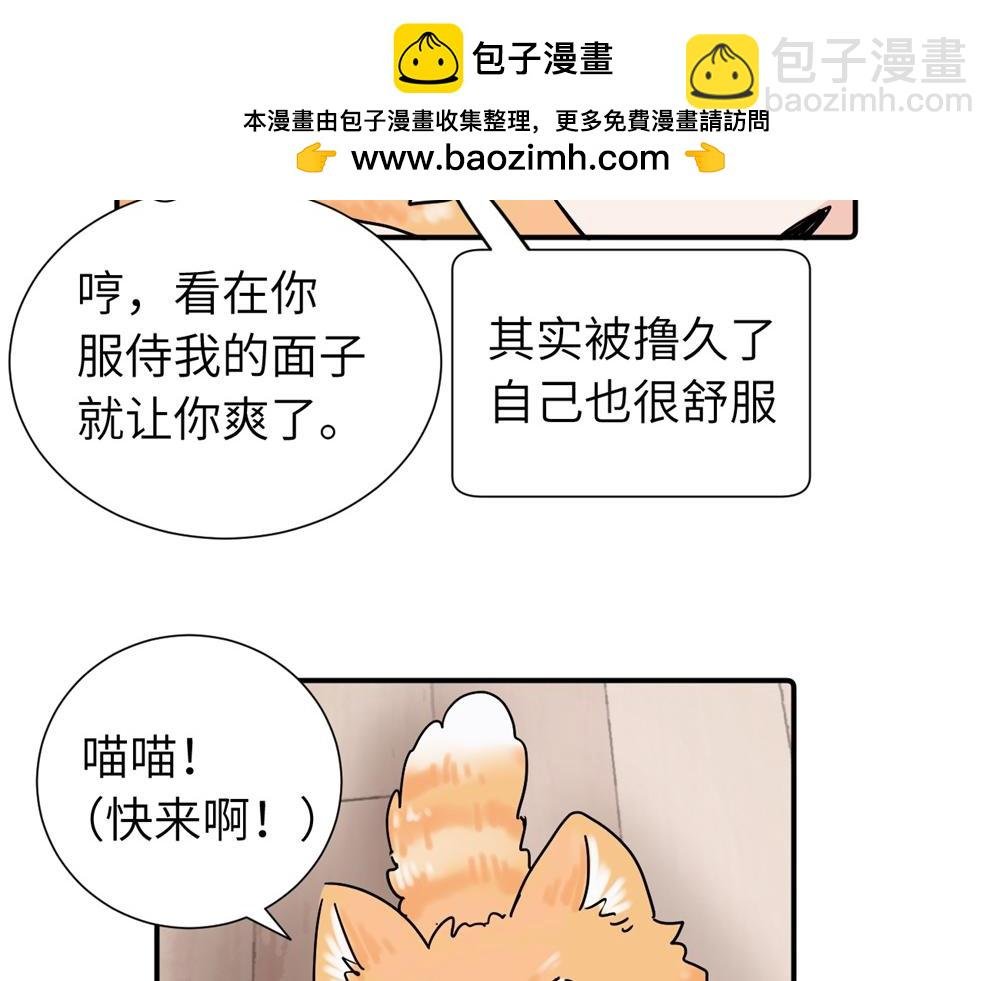 第三十八话 勉强