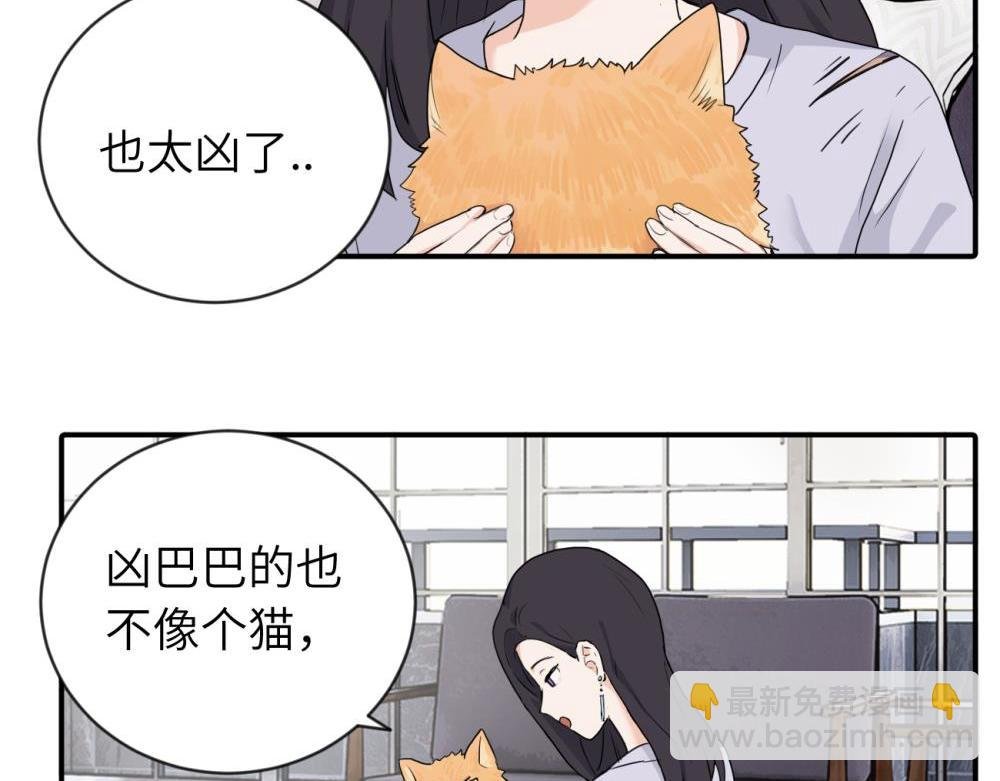 第四话 反正也没说