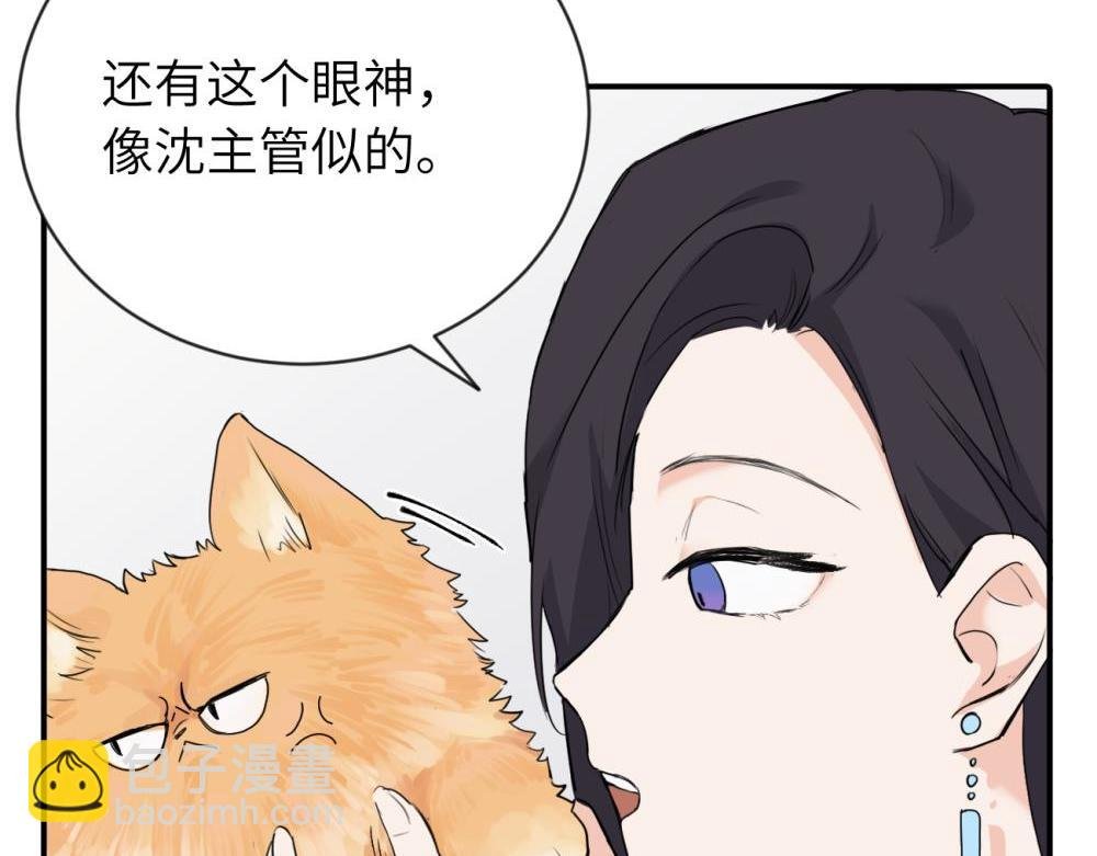 第四话 反正也没说