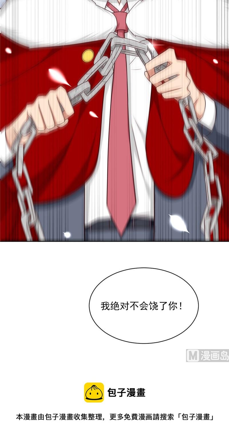 第29话 猫