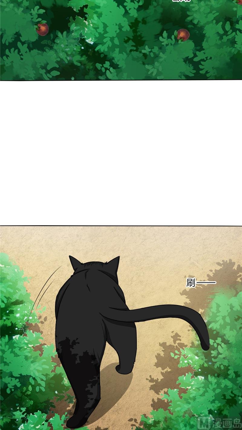 第37话 又见黑猫