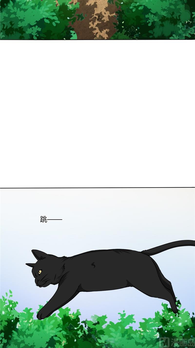 第37话 又见黑猫