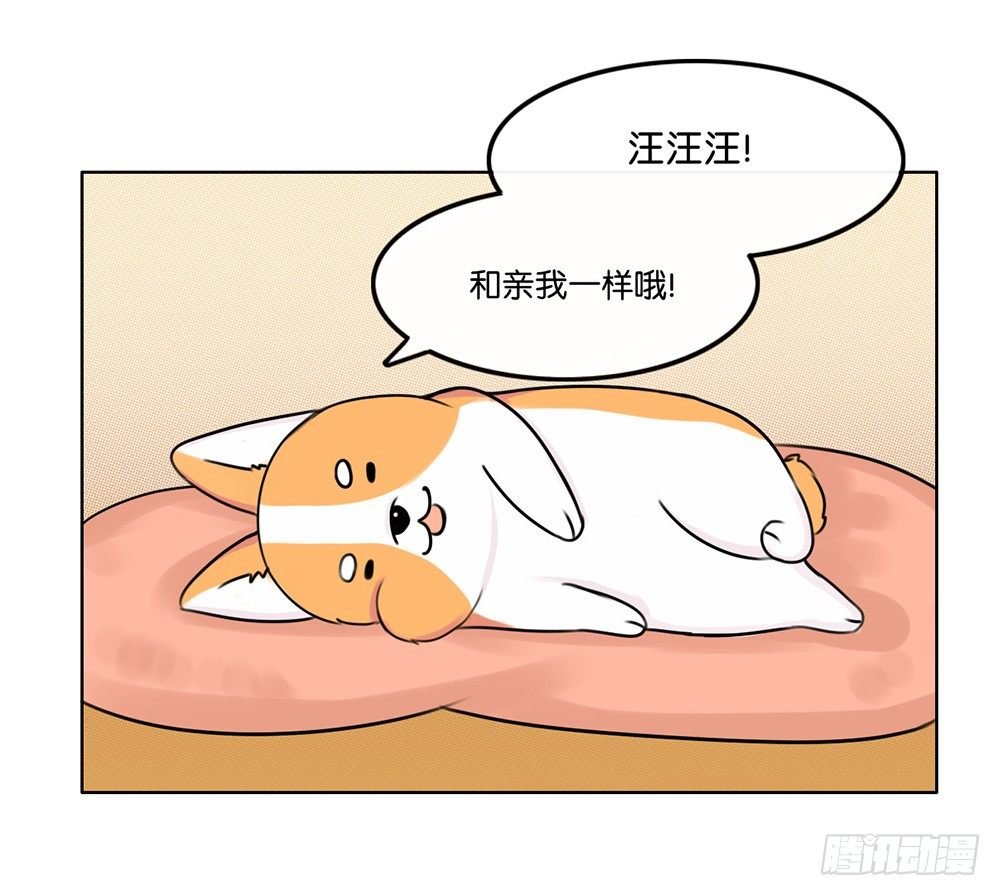 甜蜜的约会（中）