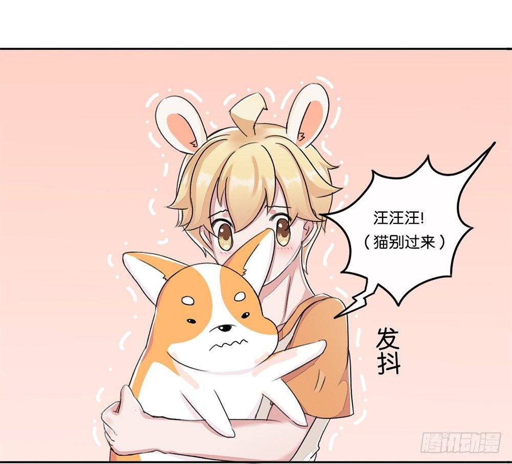 新客人（上）