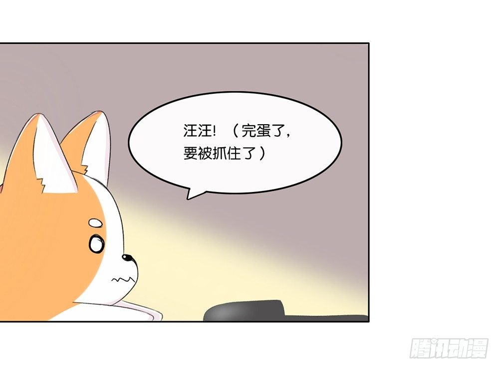 新客人（下）