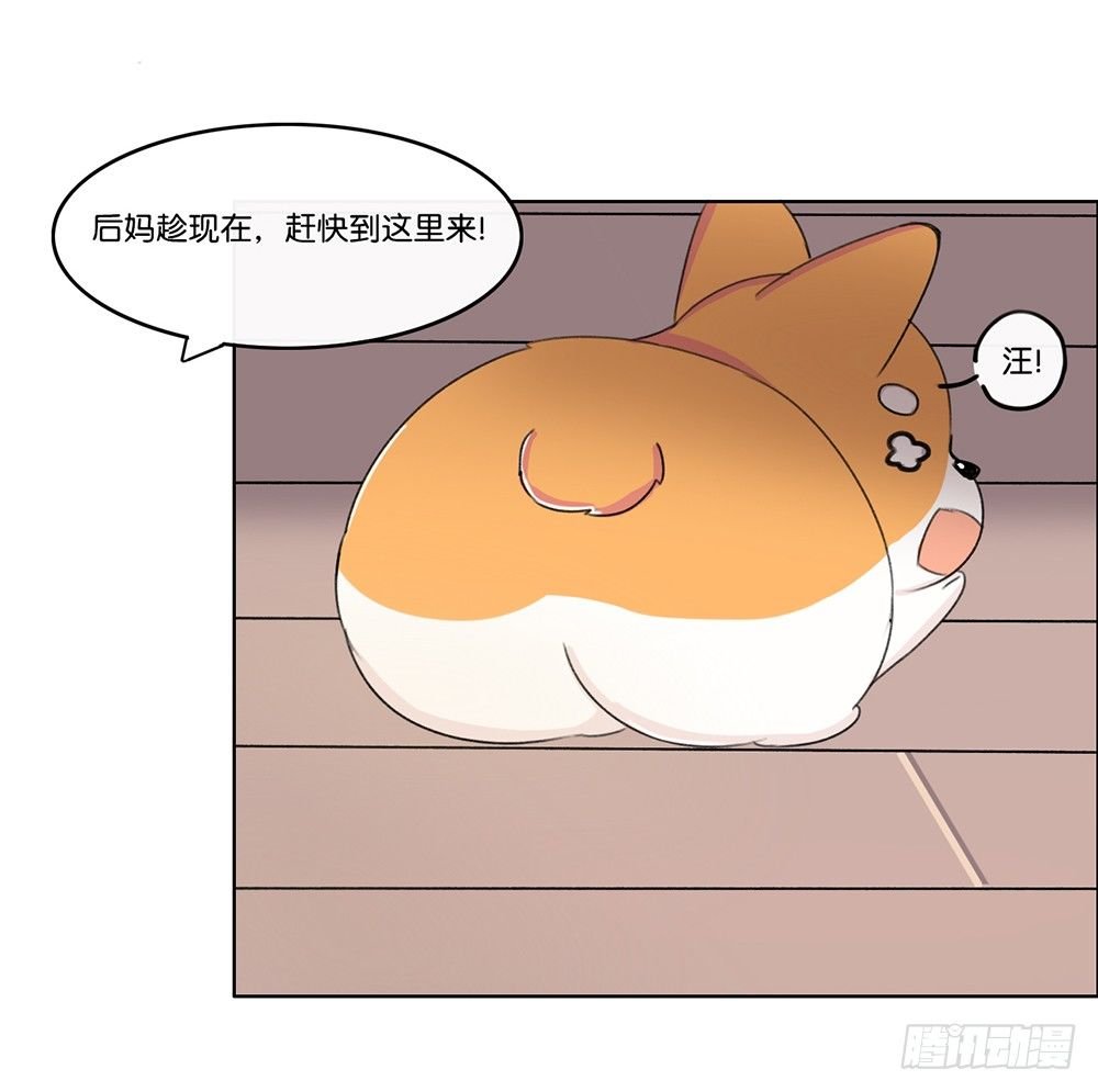 新客人（下）