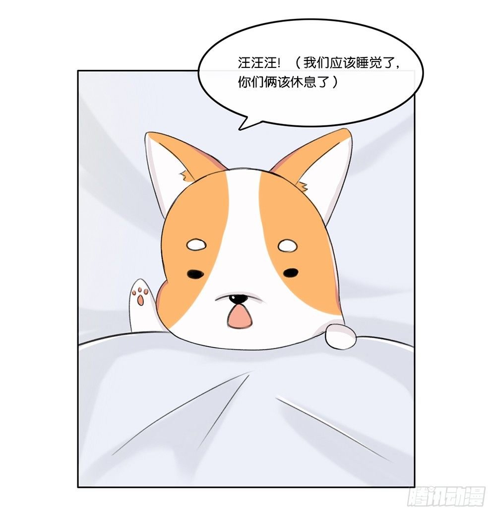 婚礼前夕（上）
