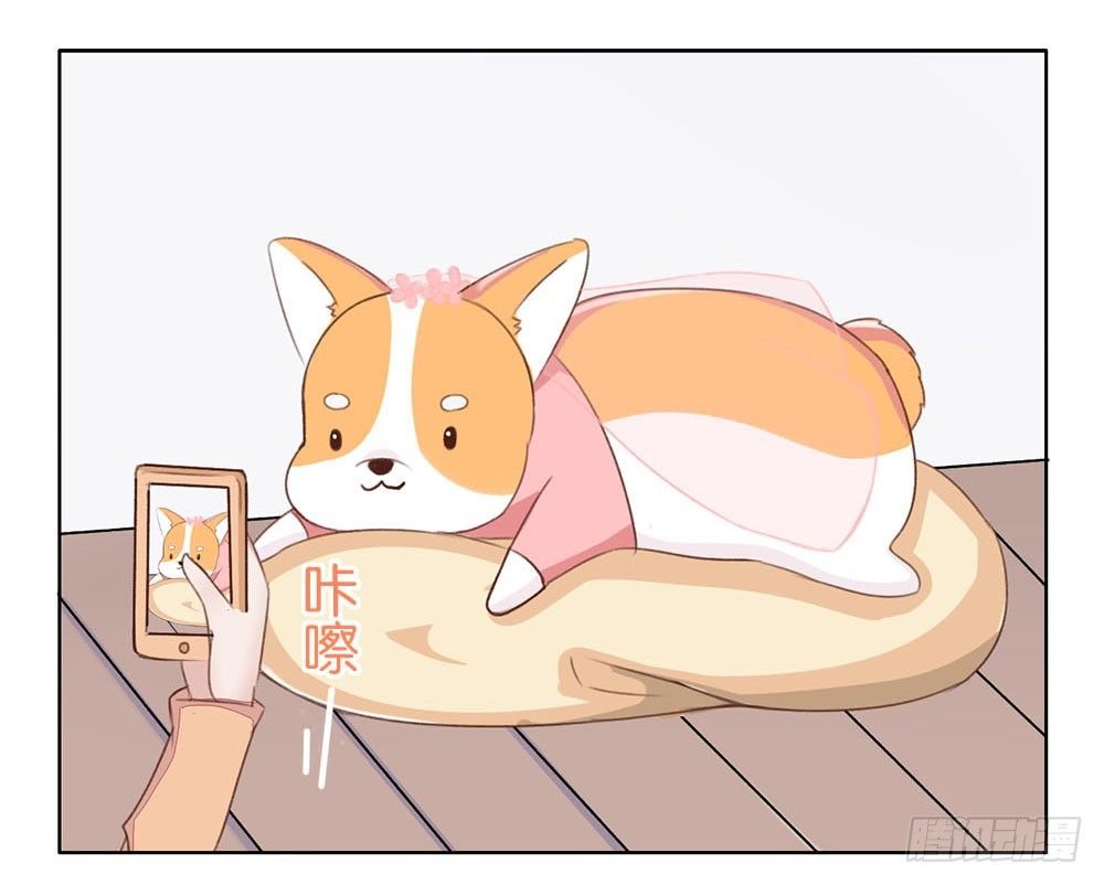 婚礼进行曲（一）