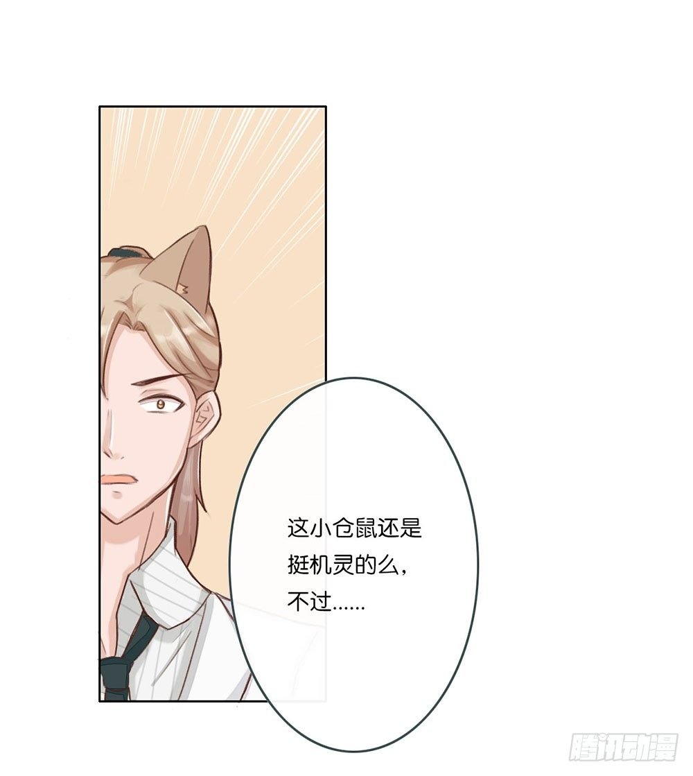 婚礼进行曲（二）