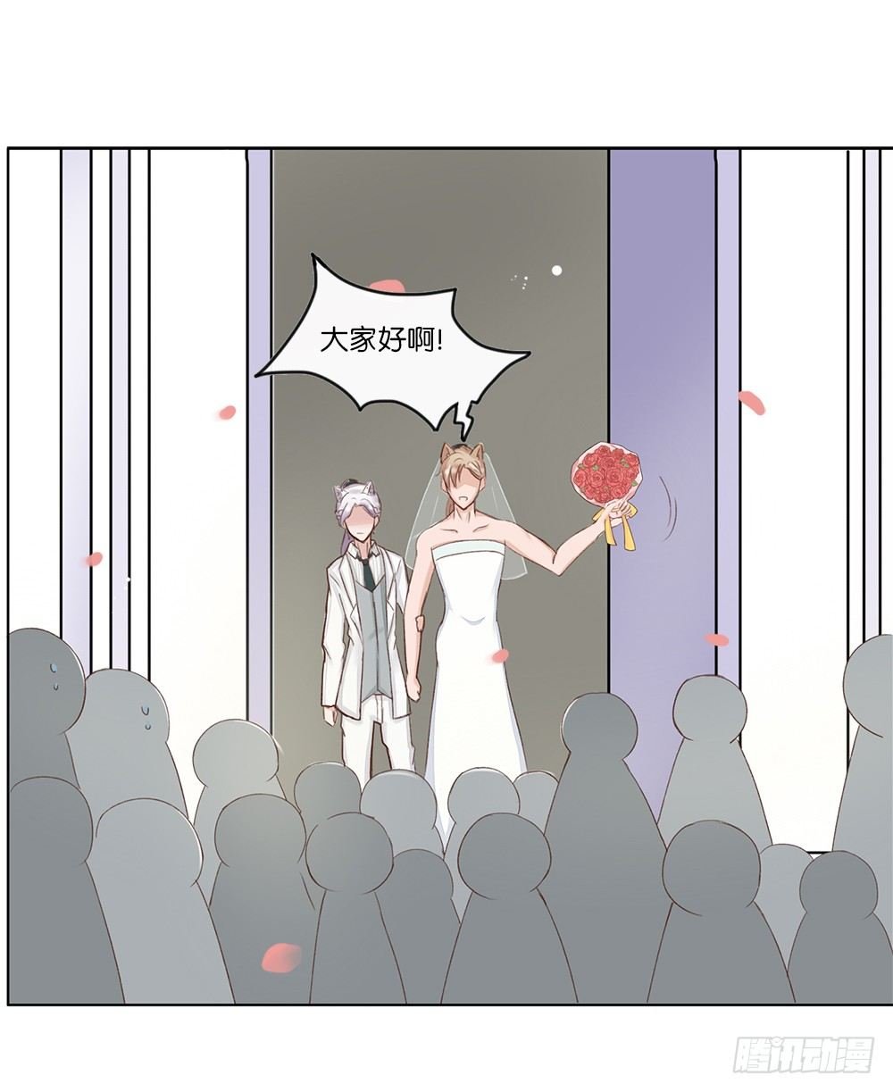 婚礼进行曲（三）