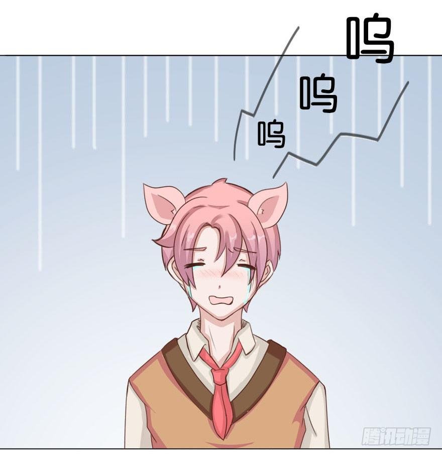 新邻居（中）