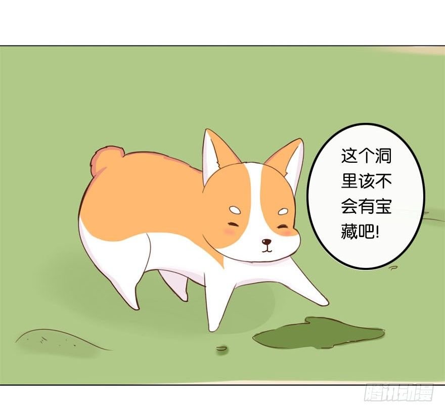 新邻居（中）