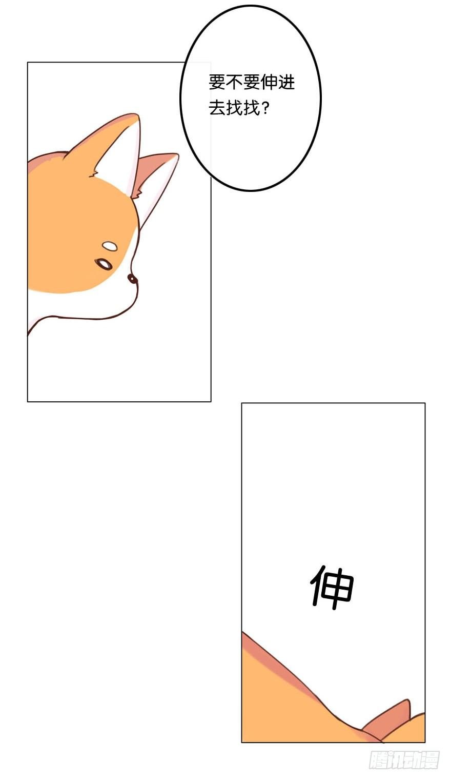 新邻居（中）