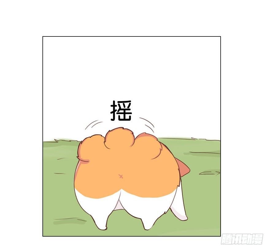 新邻居（中）