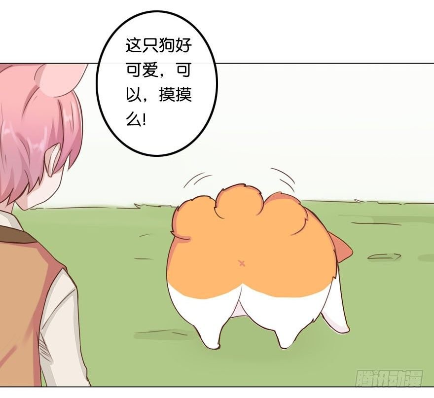 新邻居（中）