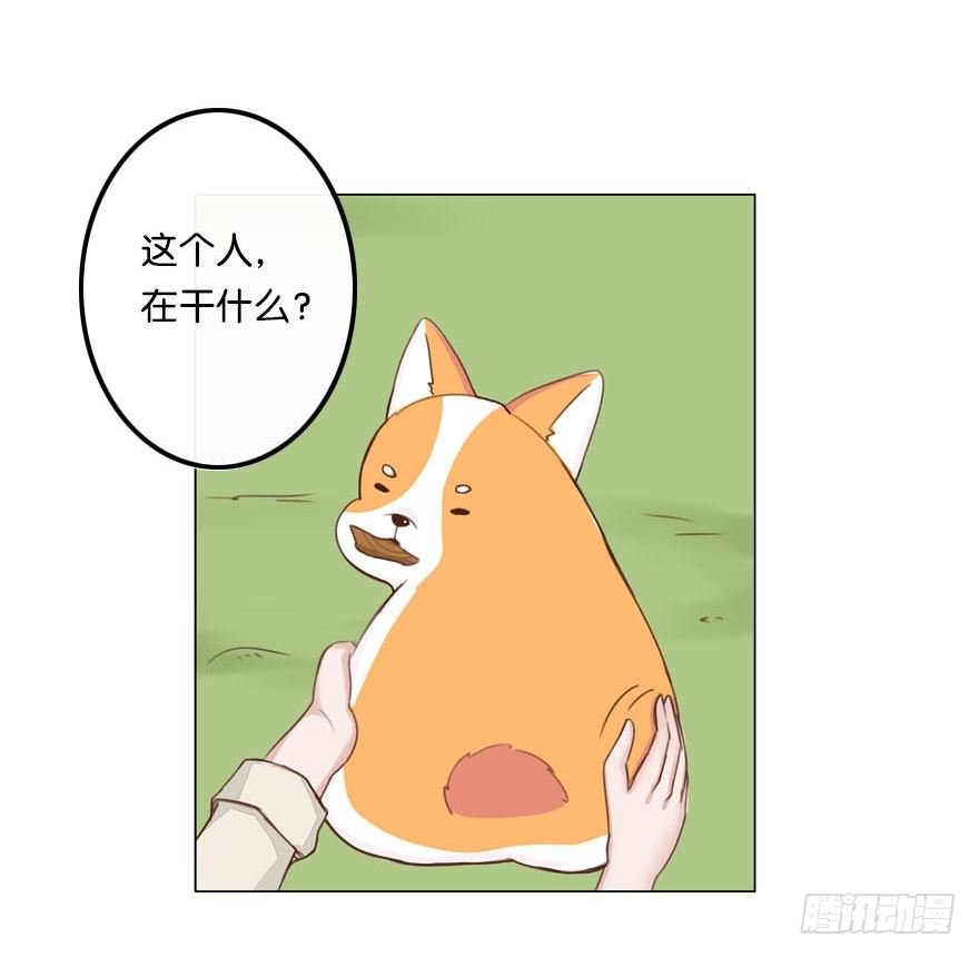新邻居（中）