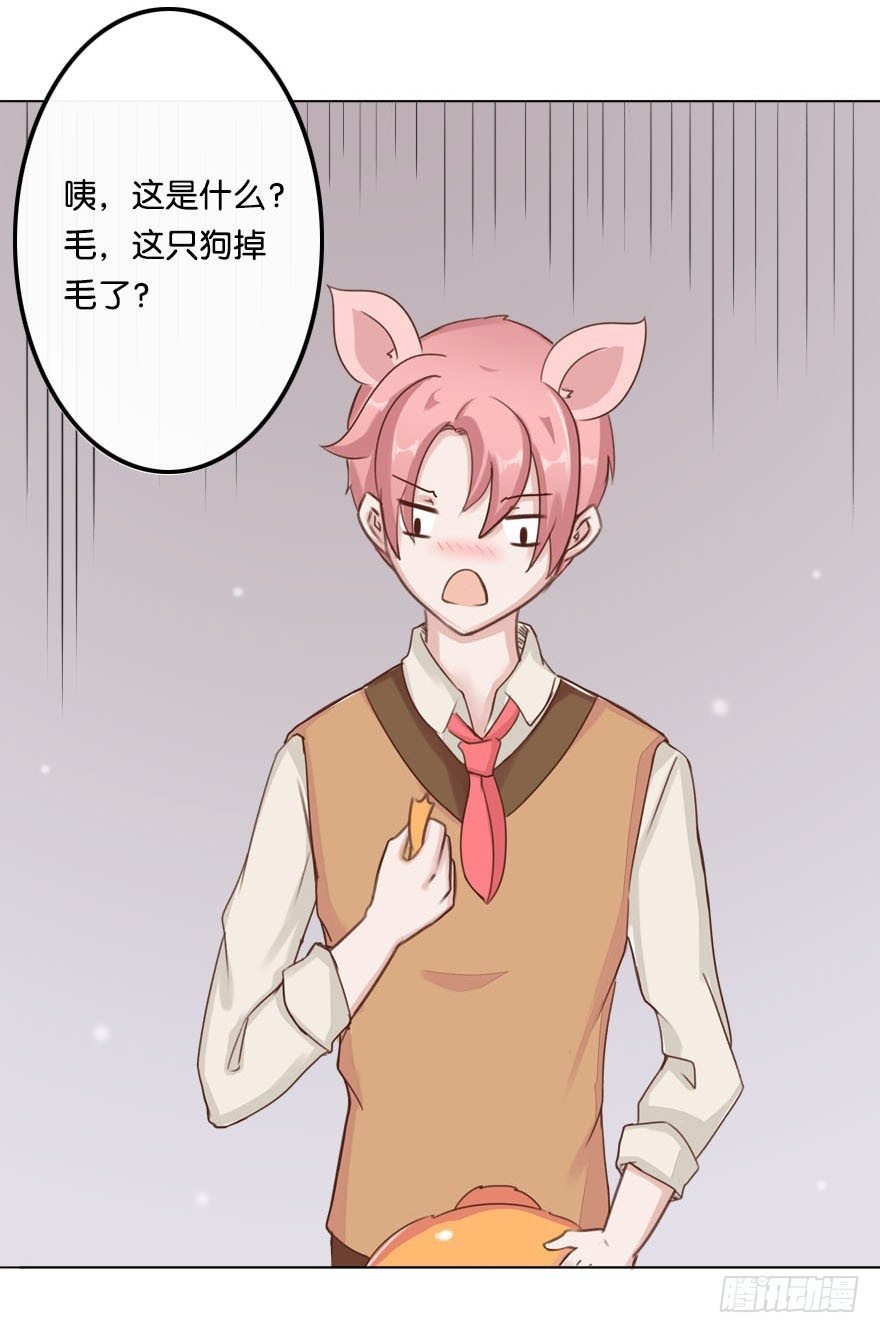 新邻居（中）