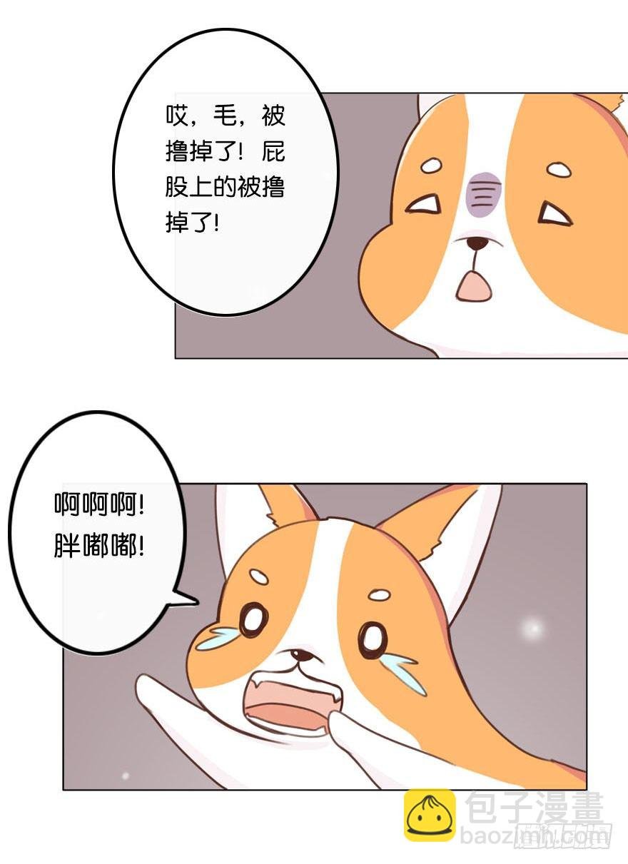 新邻居（中）