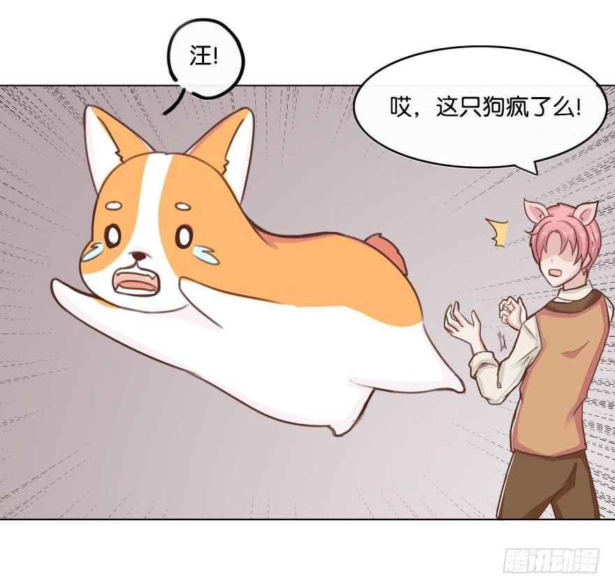 新邻居（中）