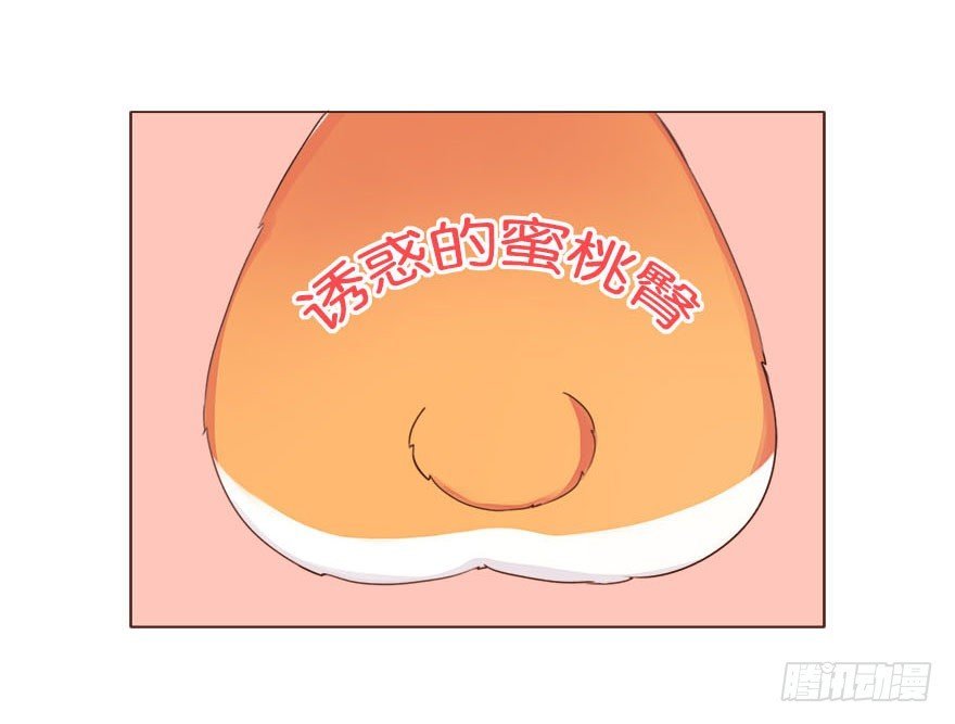 新邻居（下）