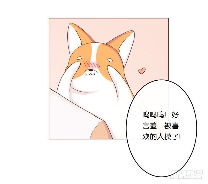 新邻居（下）