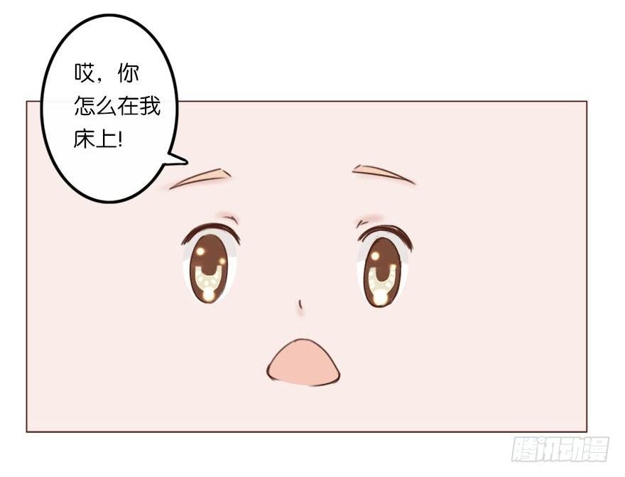 新邻居（下）