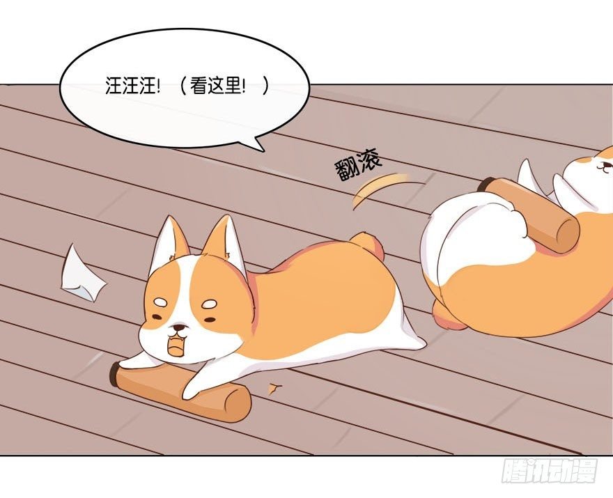 我的告白（一）