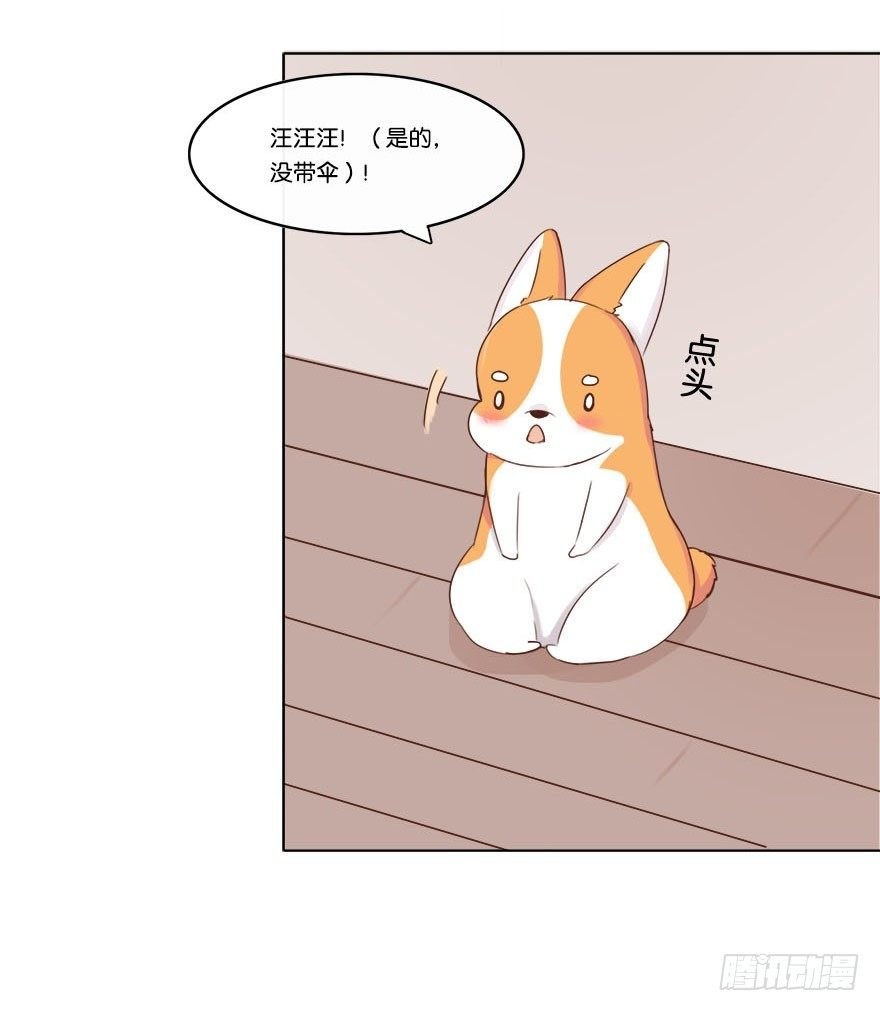 我的告白（一）