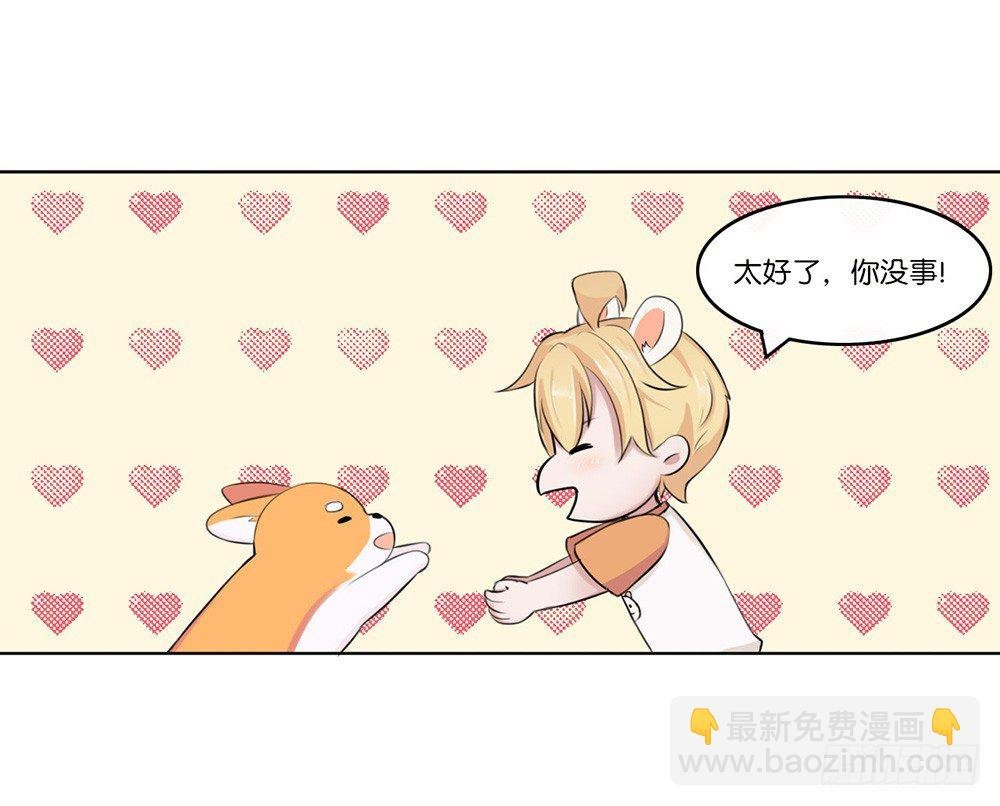 萌动的心（下）