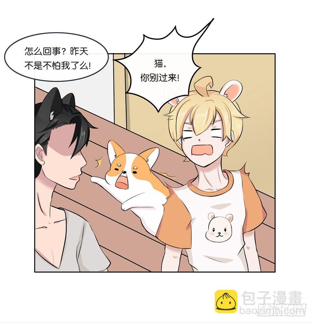 萌动的心（下）