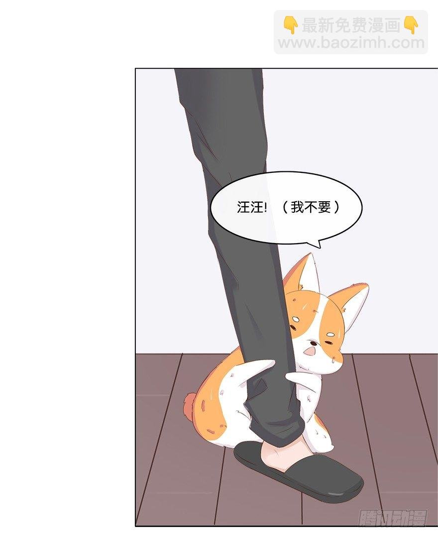 我的告白（二）