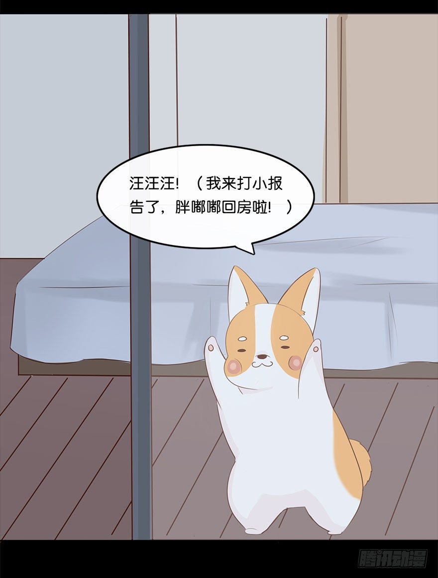 我的告白（四）