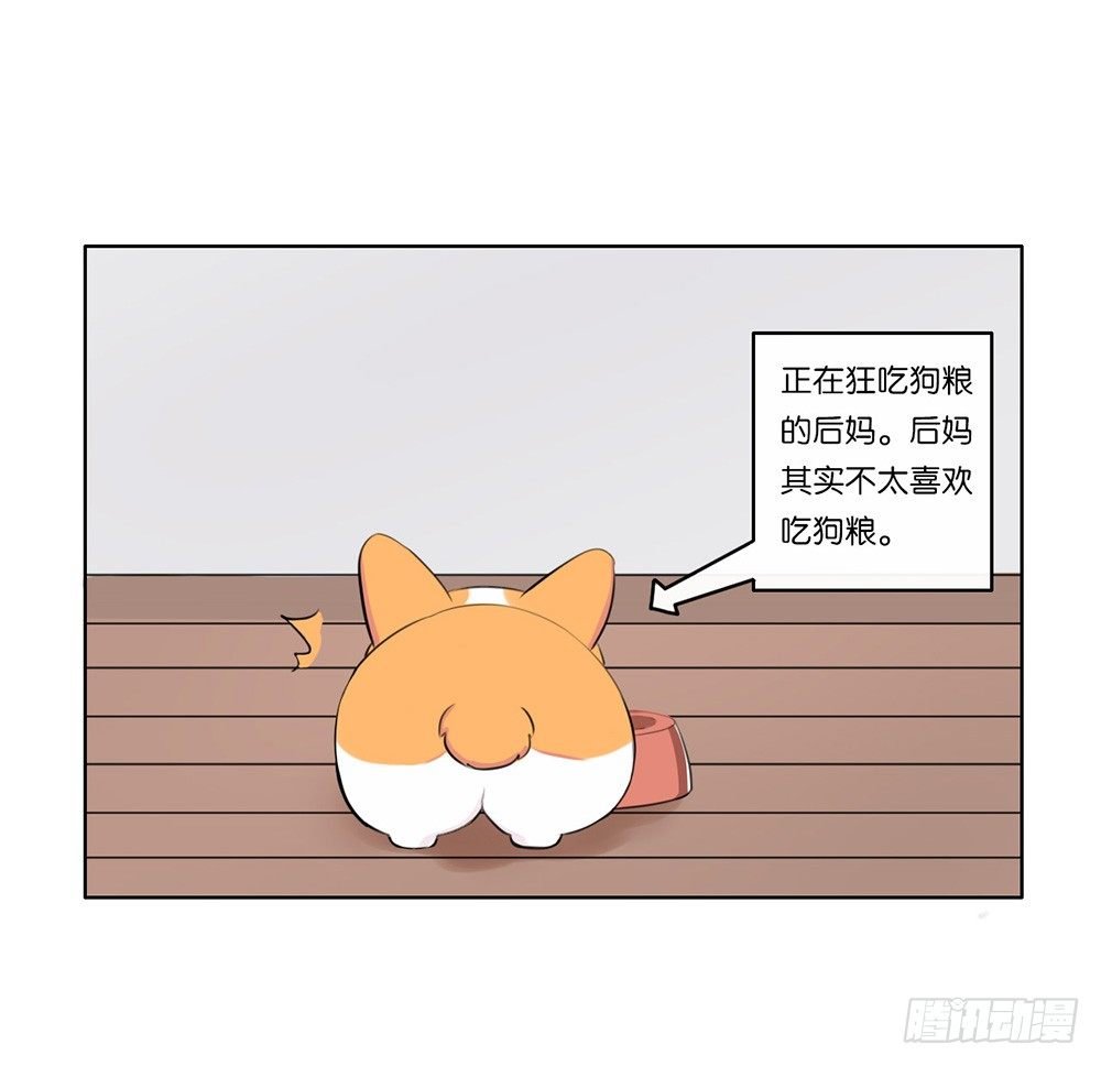 懒散的夏日（上）