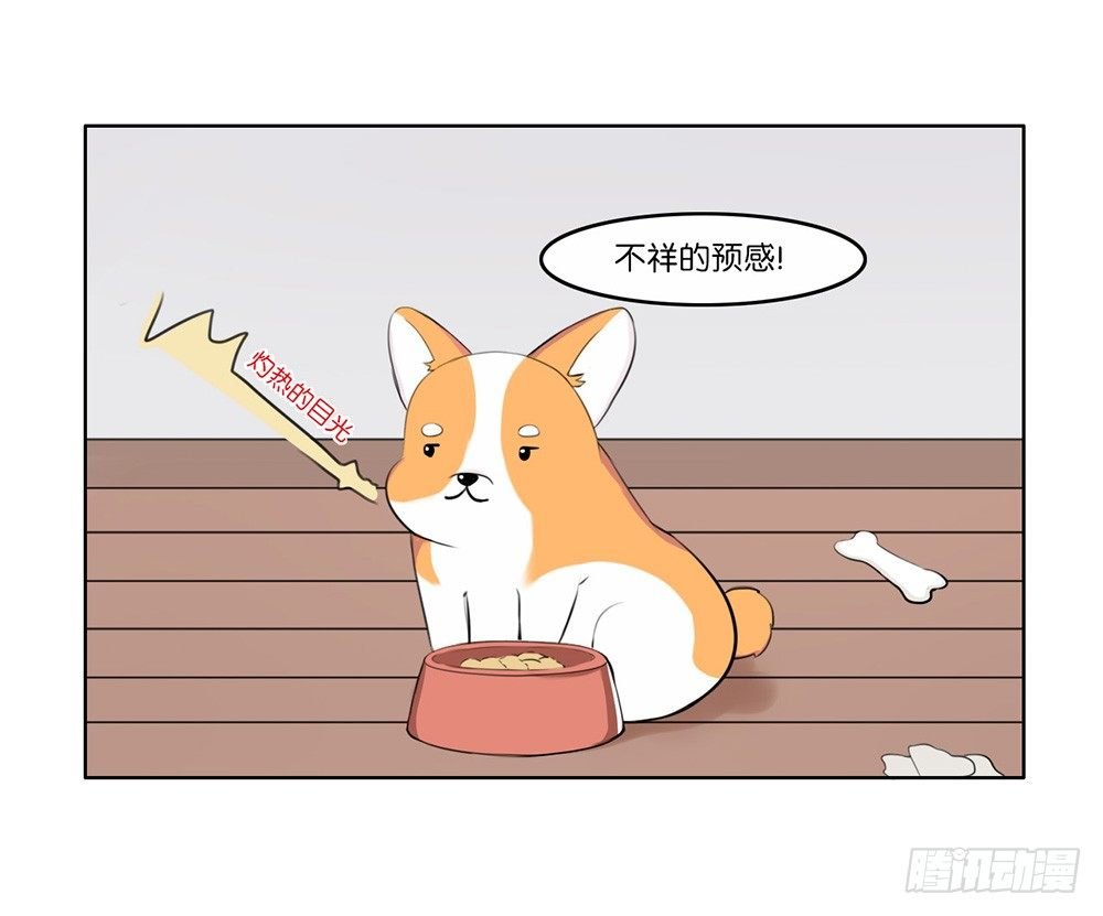 懒散的夏日（上）