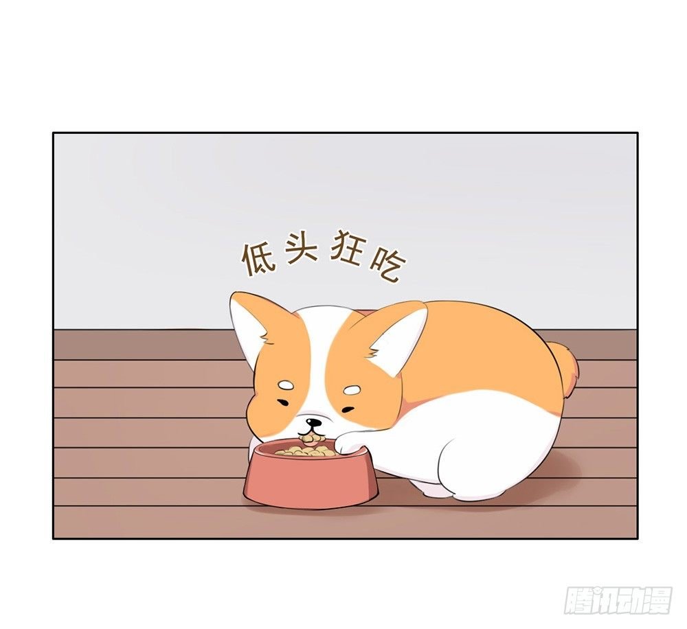 懒散的夏日（上）